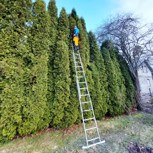Aivars Zvidris giardiniere e gestore di proprietà