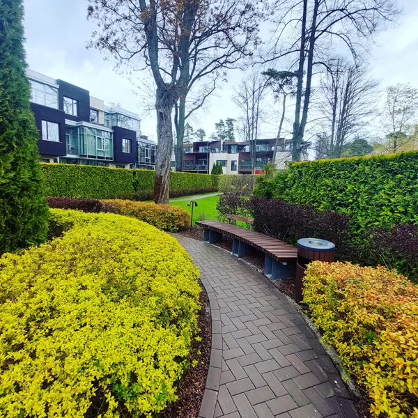 Hedges