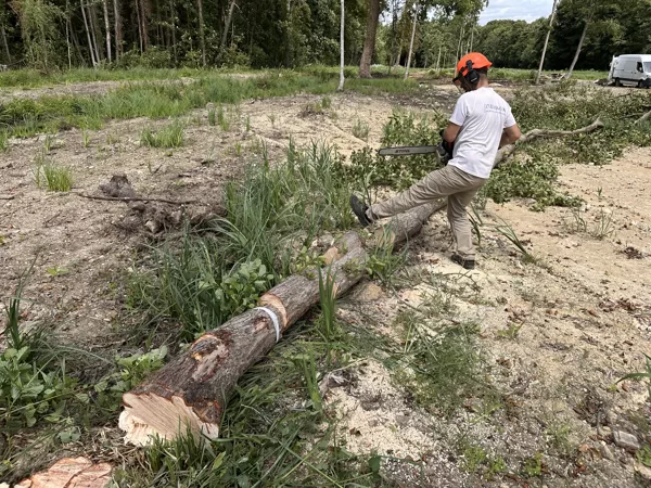 Wood cutting