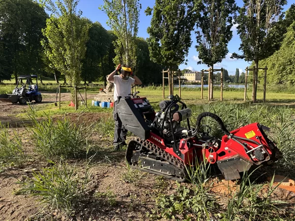 Stump cutting