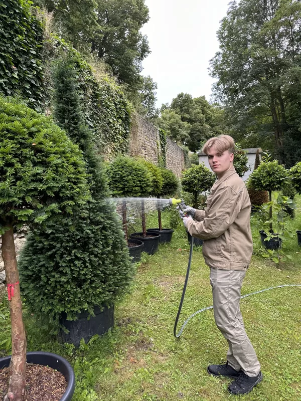 Kristian