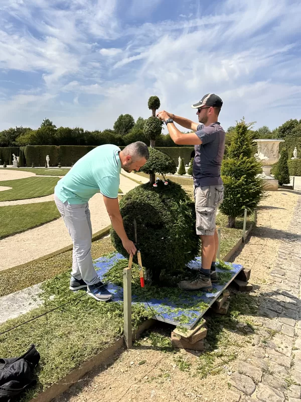 Versailles - garden maintenance