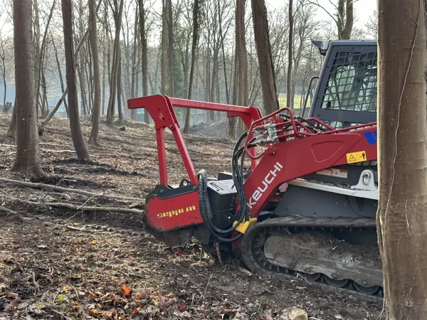 Forest clearing and stump milling