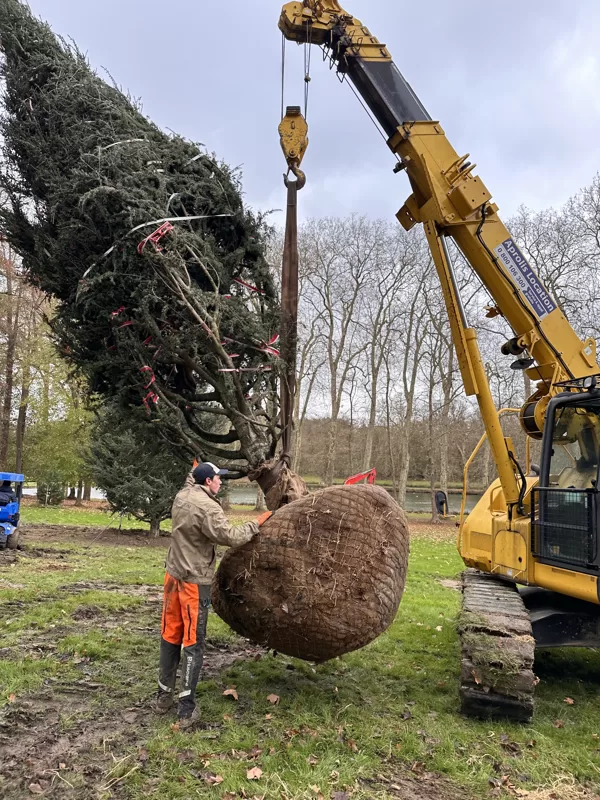 Loading/unlaoding, heavy duty works