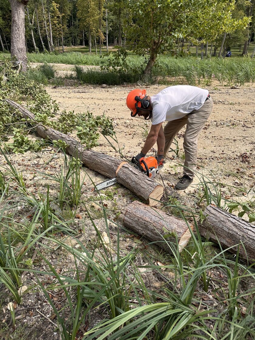 Tree Cutting Services Professional and safe tree cutting services to remove dead, hazardous, or unwanted trees. Our experienced team ensures efficient tree removal with minimal disruption to your garden. Perfect for clearing space, improving safety, and maintaining a healthy landscape.